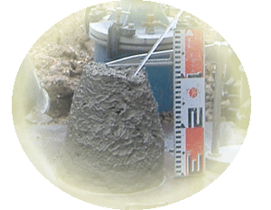 �X�����v�W�p�����ʐ^>

		<ul>

			<span style=